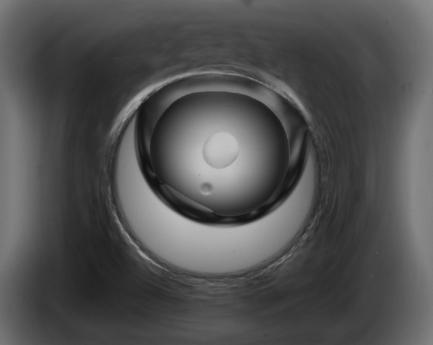 X0000085841504200703231431