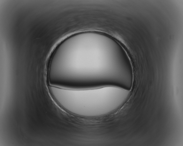 X0000085841508200703231431
