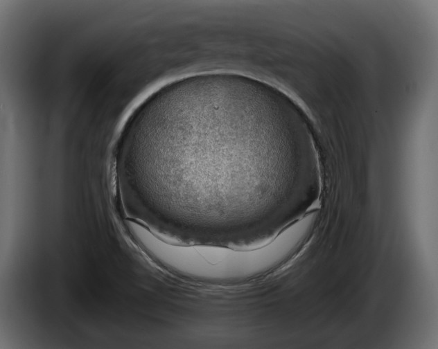 X0000085841510200703231431