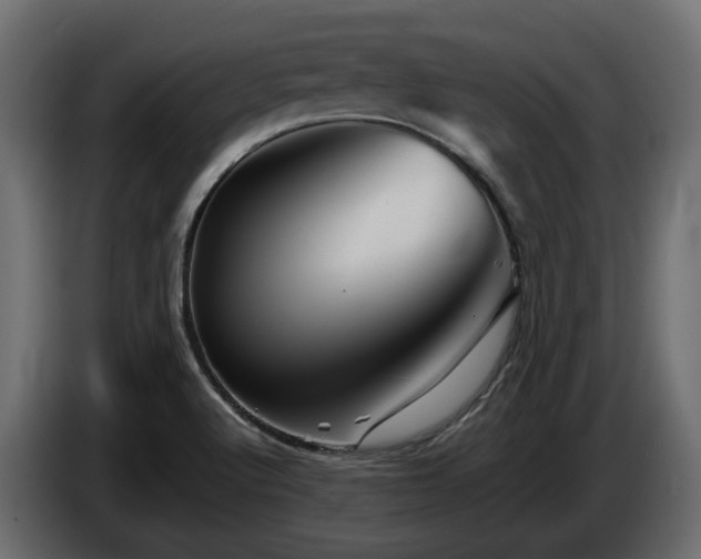 X0000085841512200703231431