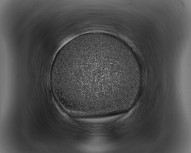 X0000085841513200703231431