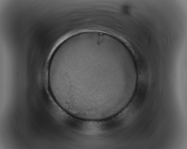 X0000085841514200703231431