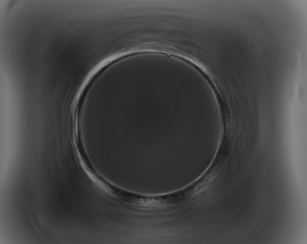 X0000085841515200703231431