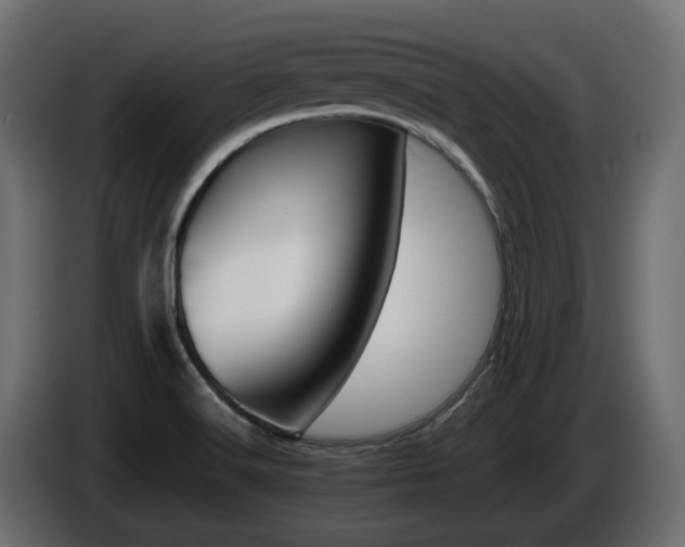 X0000085841516200703231431