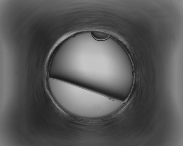 X0000085841517200703231431