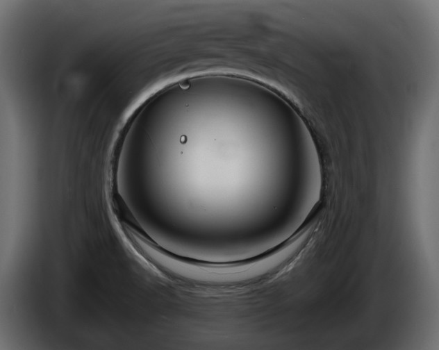 X0000085841518200703231431