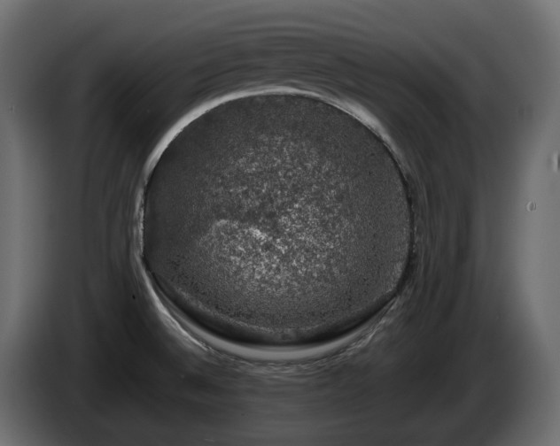 X0000085841524200703231431