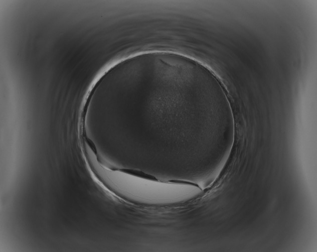 X0000085841527200703231431