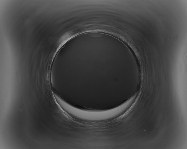 X0000085841529200703231431