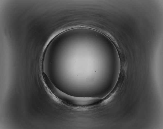 X0000085841530200703231431