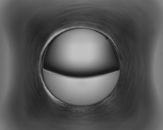 X0000085841531200703231431