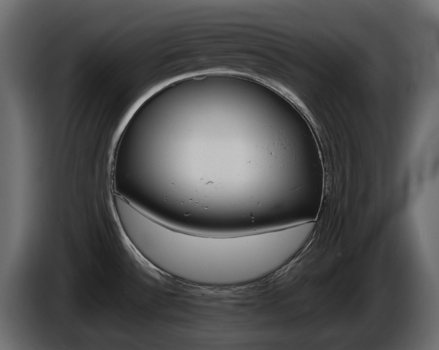 X0000085841532200703231431