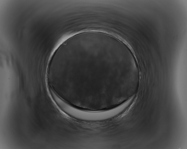 X0000085841533200703231431
