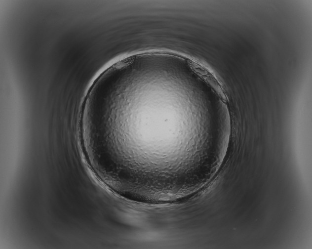 X0000085841534200703231431