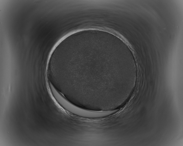 X0000085841536200703231431