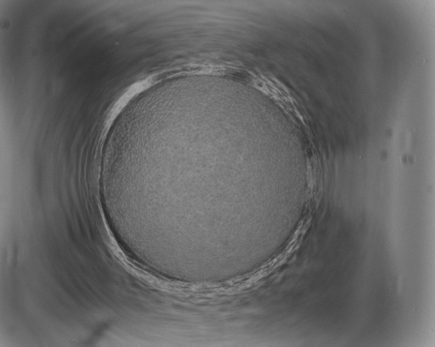 X0000085840003200703301657