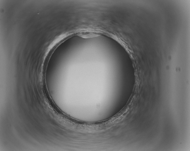 X0000085840008200703301656