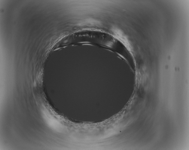 X0000085840009200703301656