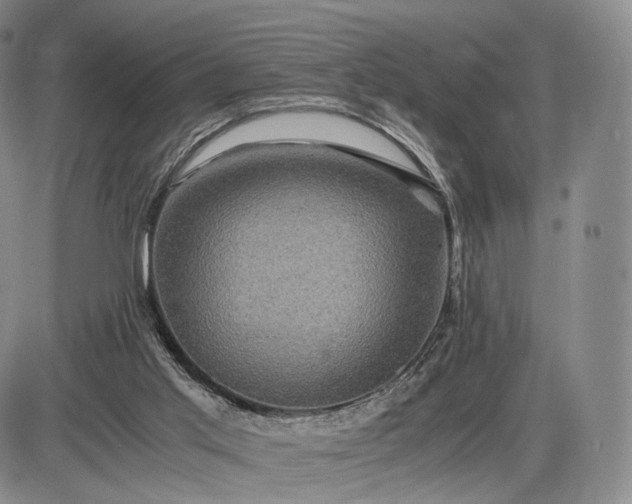 X0000085840013200703301656