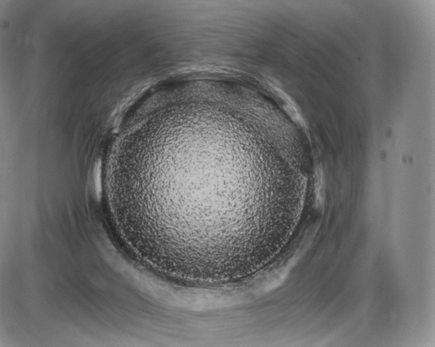X0000085840020200703301656