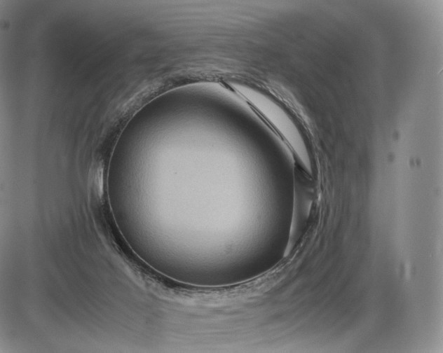 X0000085840021200703301656