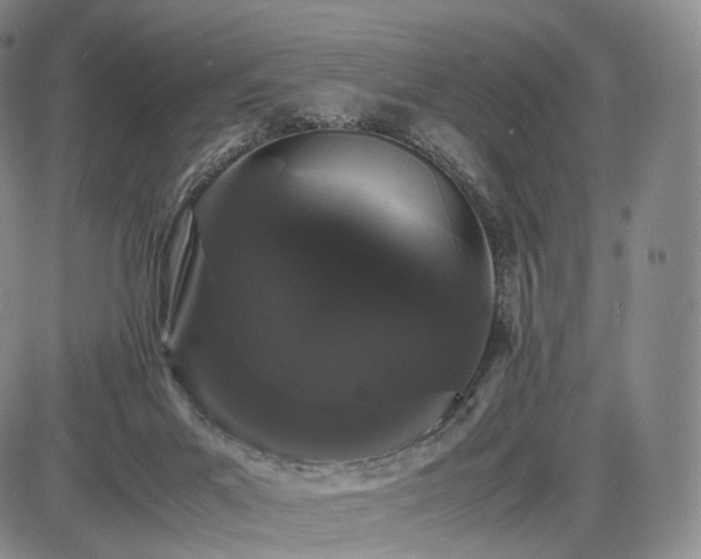 X0000085840023200703301656