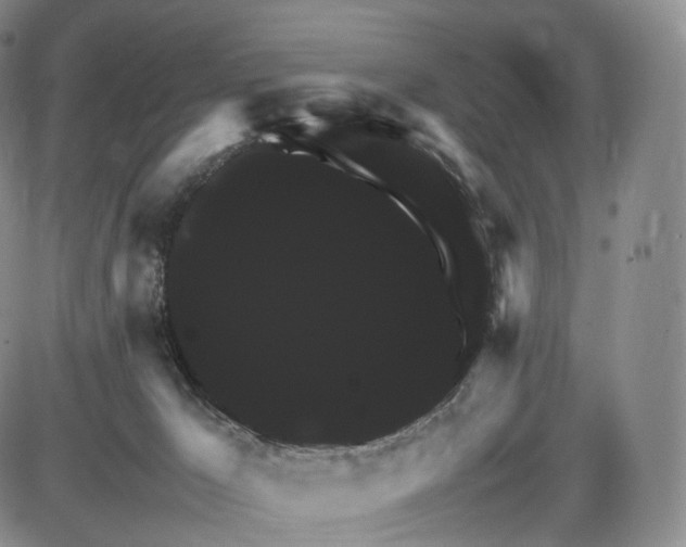 X0000085840029200703301656