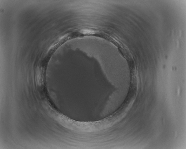 X0000085840030200703301656