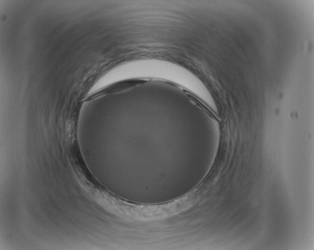 X0000085840031200703301656
