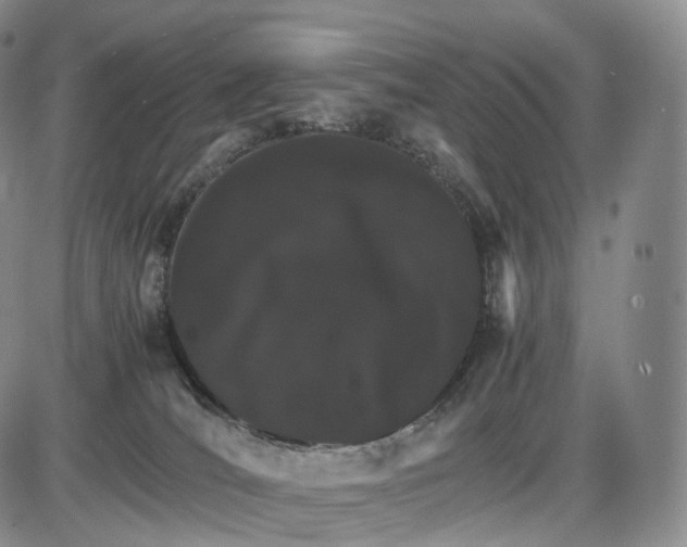 X0000085840036200703301656