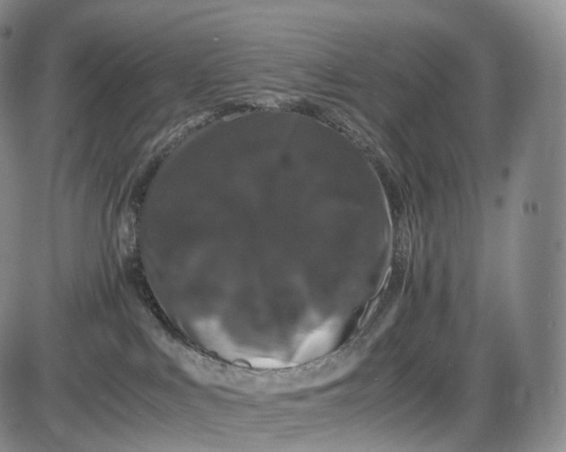 X0000085840043200703301656