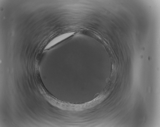 X0000085840048200703301656