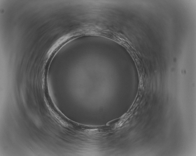 X0000085840054200703301655