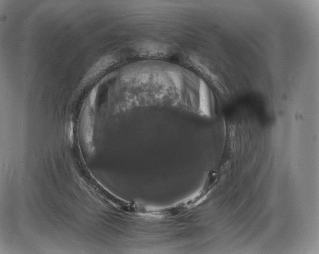X0000085840067200703301655