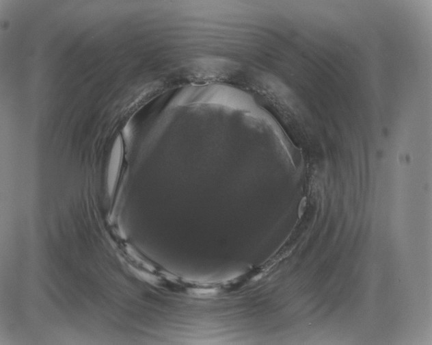 X0000085840076200703301655