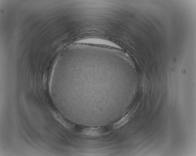 X0000085840082200703301656