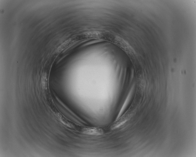 X0000085840083200703301656