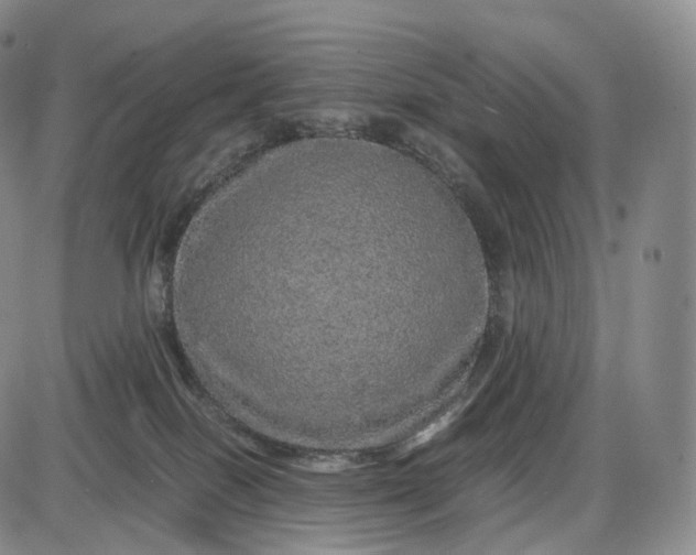 X0000085840086200703301656