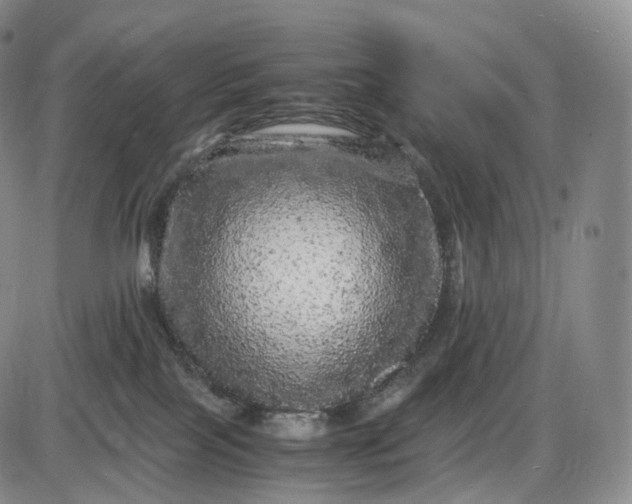 X0000085840089200703301656