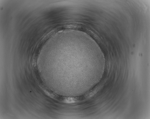 X0000085840091200703301656