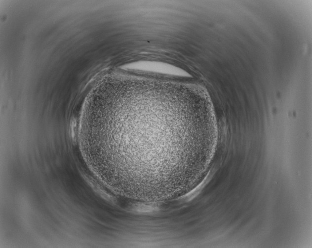 X0000085840094200703301656