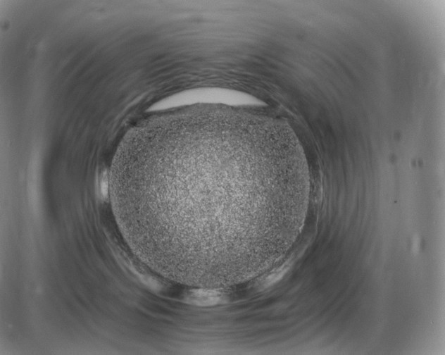 X0000085840095200703301656