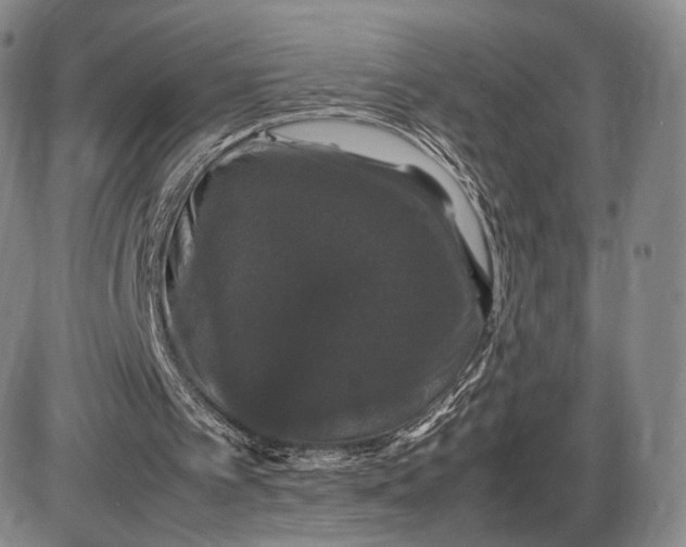X0000085840097200703301655