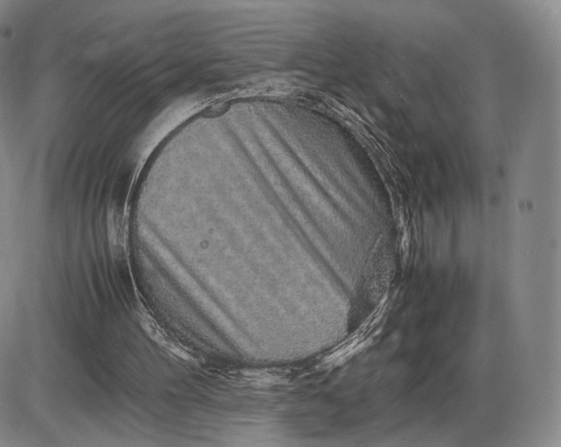 X0000085840100200703301655