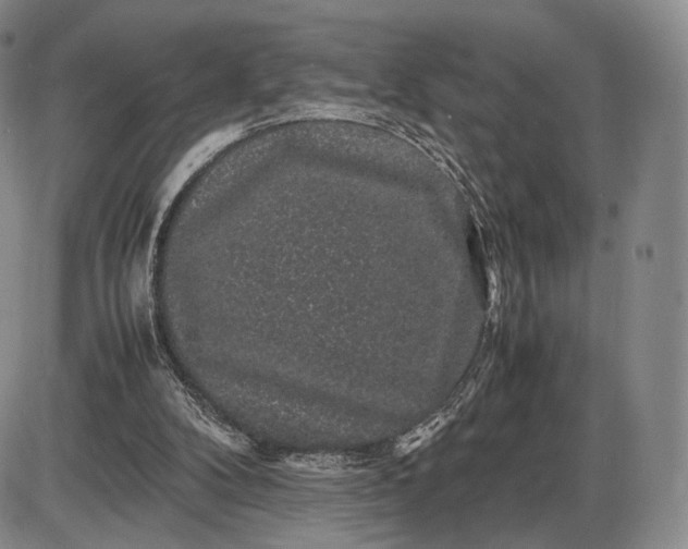 X0000085840104200703301655