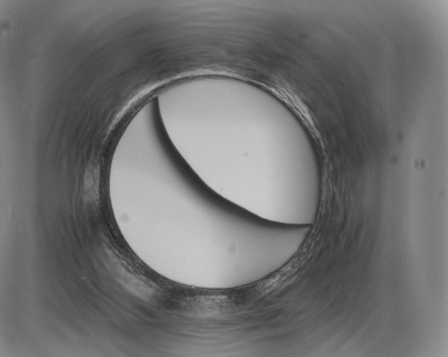 X0000085840108200703301655