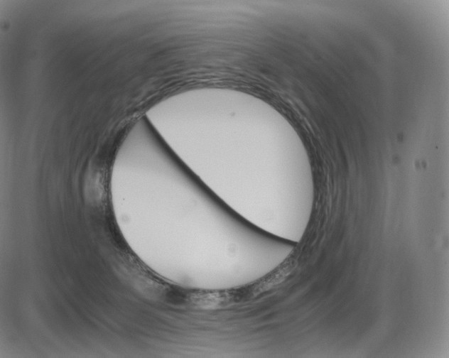 X0000085840131200703301654