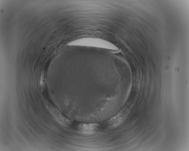 X0000085840134200703301654