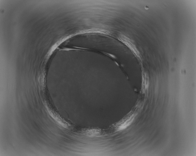 X0000085840156200703301654