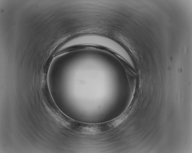 X0000085840164200703301654